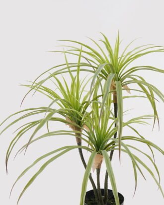 Artificial Table Plants 40*40*66cm Agave americana *3 in PP pot GS-39024001-G2 2025Mar YeahFlower is one of Chinese leading OEM manufacturers and exporters , supplying the silk flowers, wholesale artificial trees Artificial Table Plants 40*40*66cm Agave americana *3 in PP pot GS-39024001-G2 2025Mar YeahFlower is one of Chinese leading OEM manufacturers and exporters , supplying the silk flowers, wholesale artificial trees