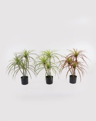 Artificial Table Plants 40*40*66cm Agave americana *3 in PP pot GS-39024001 2025Mar YeahFlower is one of Chinese leading OEM manufacturers and exporters , supplying the silk flowers, wholesale artificial trees Artificial Table Plants 40*40*66cm Agave americana *3 in PP pot GS-39024001 2025Mar YeahFlower is one of Chinese leading OEM manufacturers and exporters , supplying the silk flowers, wholesale artificial trees