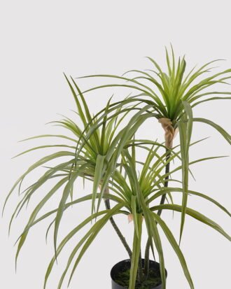 Artificial Table Plants 40*40*66cm Agave americana *3 in PP pot GS-39024001 2025Mar YeahFlower is one of Chinese leading OEM manufacturers and exporters , supplying the silk flowers, wholesale artificial trees Artificial Table Plants 40*40*66cm Agave americana *3 in PP pot GS-39024001 2025Mar YeahFlower is one of Chinese leading OEM manufacturers and exporters , supplying the silk flowers, wholesale artificial trees