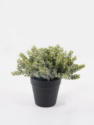 Artificial Table Plants 13*13*26cm Eucalyptus in PP pot GS-41324067KIK 2025Mar 3,000+ sqm showroom with thousands of artificial flowers, plants & trees ready for global sourcing.