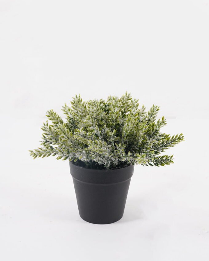 Artificial Table Plants 17*17*17cm Cypress leaf in PP pot GS-41324066KIK 2025Mar YeahFlower is one of Chinese leading OEM manufacturers and exporters , supplying the silk flowers, wholesale artificial trees