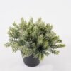 Artificial Table Plants 17*17*17cm Cypress leaf in PP pot GS-41324066KIK 2025Mar YeahFlower is one of Chinese leading OEM manufacturers and exporters , supplying the silk flowers, wholesale artificial trees