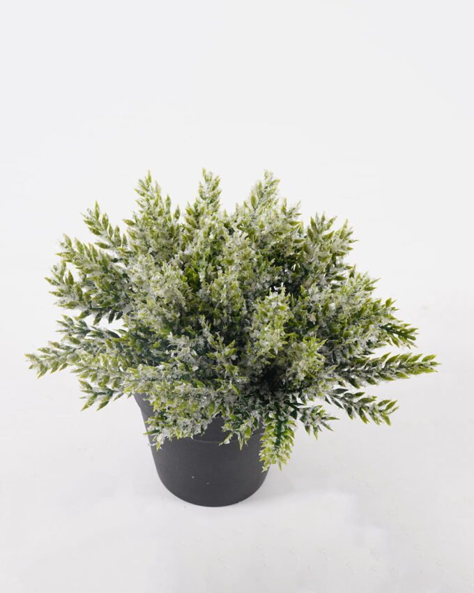 Artificial Table Plants 17*17*17cm Cypress leaf in PP pot GS-41324066KIK 2025Mar YeahFlower is one of Chinese leading OEM manufacturers and exporters , supplying the silk flowers, wholesale artificial trees