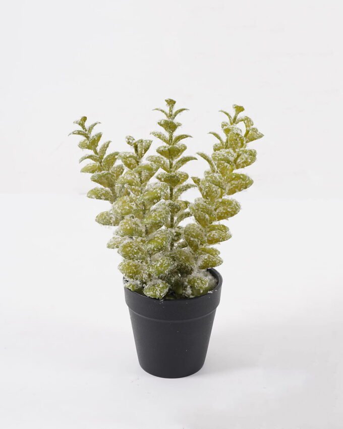 Artificial Table Plants 13*13*26cm Eucalyptus in PP pot GS-41324067KIK 2025Mar YeahFlower is one of Chinese leading OEM manufacturers and exporters , supplying the silk flowers, wholesale artificial trees