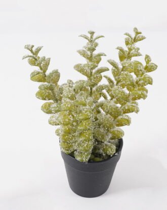 Artificial Table Plants 13*13*26cm Eucalyptus in PP pot GS-41324067KIK 2025Mar YeahFlower is one of Chinese leading OEM manufacturers and exporters , supplying the silk flowers, wholesale artificial trees Artificial Table Plants 13*13*26cm Eucalyptus in PP pot GS-41324067KIK 2025Mar YeahFlower is one of Chinese leading OEM manufacturers and exporters , supplying the silk flowers, wholesale artificial trees