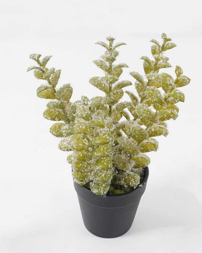 Artificial Table Plants 13*13*26cm Eucalyptus in PP pot GS-41324067KIK 2025Mar YeahFlower is one of Chinese leading OEM manufacturers and exporters , supplying the silk flowers, wholesale artificial trees