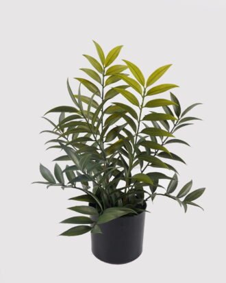 Artificial Table Plants 35*35*46cm Leaf in PP pot/10 lvs GS-39024002 2025Mar YeahFlower is one of Chinese leading OEM manufacturers and exporters , supplying the silk flowers, wholesale artificial trees Artificial Table Plants 35*35*46cm Leaf in PP pot/10 lvs GS-39024002 2025Mar YeahFlower is one of Chinese leading OEM manufacturers and exporters , supplying the silk flowers, wholesale artificial trees