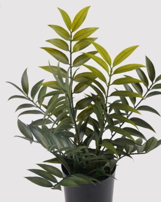Artificial Table Plants 35*35*46cm Leaf in PP pot/10 lvs GS-39024002 2025Mar YeahFlower is one of Chinese leading OEM manufacturers and exporters , supplying the silk flowers, wholesale artificial trees Artificial Table Plants 35*35*46cm Leaf in PP pot/10 lvs GS-39024002 2025Mar YeahFlower is one of Chinese leading OEM manufacturers and exporters , supplying the silk flowers, wholesale artificial trees