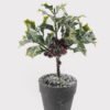 Artificial Table Plants 12*12*19cm Poinsettia in PaPer PulP pot GS-41324062KIK 2025Mar YeahFlower is one of Chinese leading OEM manufacturers and exporters , supplying the silk flowers, wholesale artificial trees