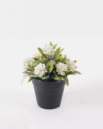 Artificial Table Plants 14*14*17cm Rose in PP pot GS-41324065KIK 2025Mar YeahFlower is one of Chinese leading OEM manufacturers and exporters , supplying the silk flowers, wholesale artificial trees Artificial Table Plants 14*14*17cm Rose in PP pot GS-41324065KIK 2025Mar YeahFlower is one of Chinese leading OEM manufacturers and exporters , supplying the silk flowers, wholesale artificial trees