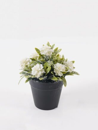 Artificial Table Plants 17*17*17cm Cypress leaf in PP pot GS-41324066KIK 2025Mar 3,000+ sqm showroom with thousands of artificial flowers, plants & trees ready for global sourcing.