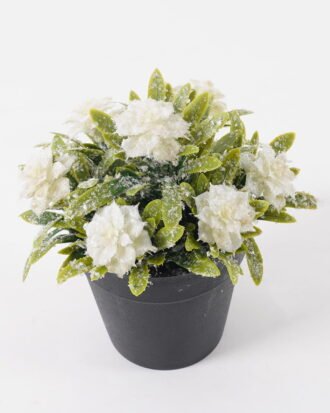 Artificial Table Plants 14*14*17cm Rose in PP pot GS-41324065KIK 2025Mar YeahFlower is one of Chinese leading OEM manufacturers and exporters , supplying the silk flowers, wholesale artificial trees Artificial Table Plants 14*14*17cm Rose in PP pot GS-41324065KIK 2025Mar YeahFlower is one of Chinese leading OEM manufacturers and exporters , supplying the silk flowers, wholesale artificial trees