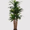 Artificial Tree 150cm Dracaena in PP pot GS-30624018 2025Mar YeahFlower is one of Chinese leading OEM manufacturers and exporters , supplying the silk flowers, wholesale artificial trees