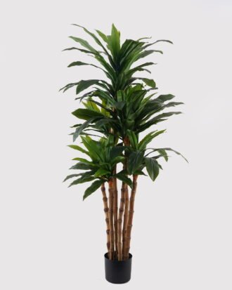 Artificial Tree 150cm Dracaena in PP pot GS-30624018 2025Mar YeahFlower is one of Chinese leading OEM manufacturers and exporters , supplying the silk flowers, wholesale artificial trees