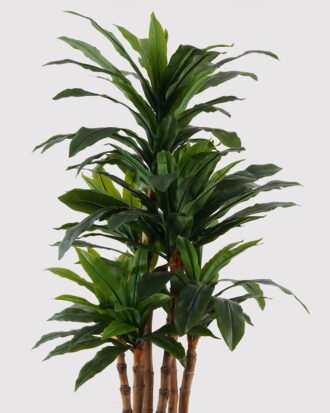 Artificial Tree 150cm Dracaena in PP pot GS-30624018 2025Mar YeahFlower is one of Chinese leading OEM manufacturers and exporters , supplying the silk flowers, wholesale artificial trees