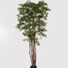 Artificial Tree 180cm  Banyan in PP pot GS-30624010 2025Mar YeahFlower is one of Chinese leading OEM manufacturers and exporters , supplying the silk flowers, wholesale artificial trees