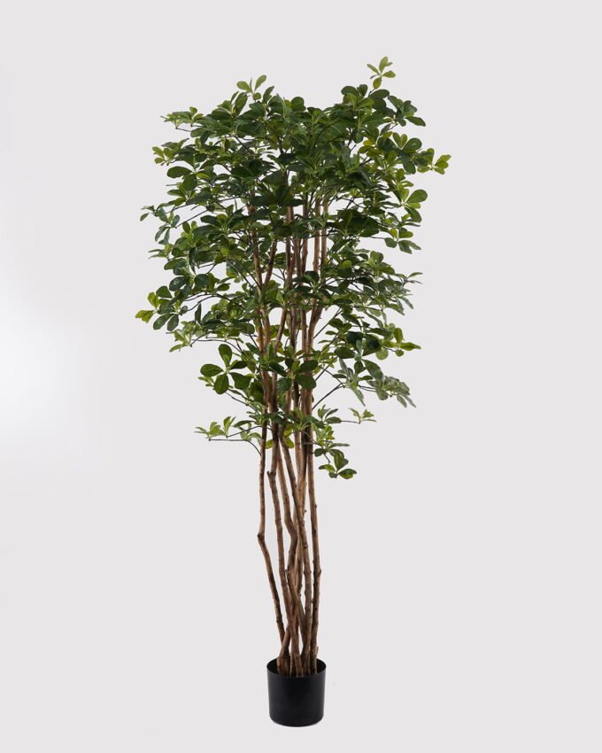Artificial Tree 180cm  Banyan in PP pot GS-30624010 2025Mar YeahFlower is one of Chinese leading OEM manufacturers and exporters , supplying the silk flowers, wholesale artificial trees