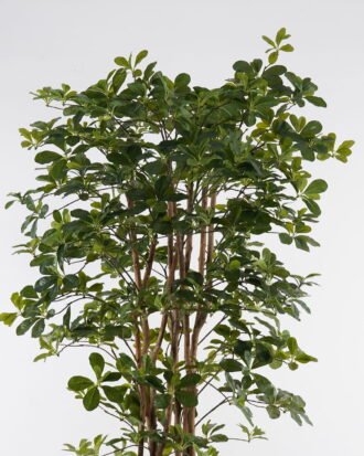 Artificial Tree 180cm  Banyan in PP pot GS-30624010 2025Mar YeahFlower is one of Chinese leading OEM manufacturers and exporters , supplying the silk flowers, wholesale artificial trees