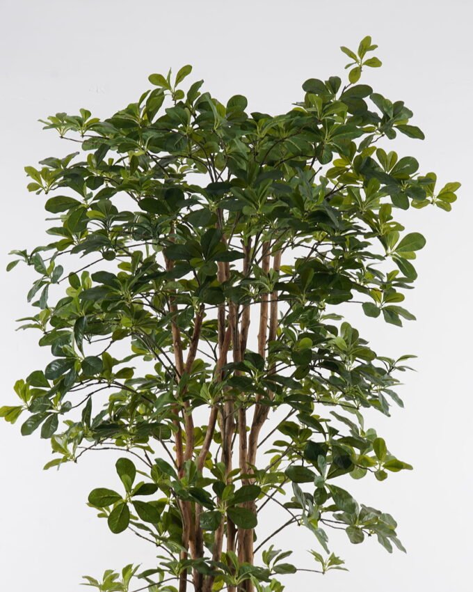 Artificial Tree 180cm  Banyan in PP pot GS-30624010 2025Mar YeahFlower is one of Chinese leading OEM manufacturers and exporters , supplying the silk flowers, wholesale artificial trees