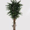 Artificial Tree 180cm  Banyan in PP pot GS-30624013 2025Mar YeahFlower is one of Chinese leading OEM manufacturers and exporters , supplying the silk flowers, wholesale artificial trees