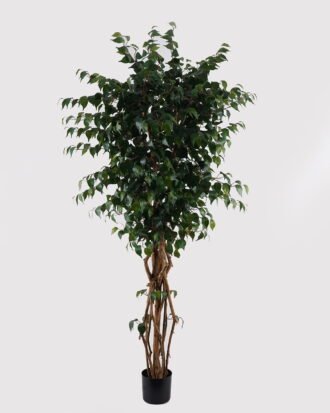 Artificial Tree 180cm  Banyan in PP pot GS-30624013 2025Mar YeahFlower is one of Chinese leading OEM manufacturers and exporters , supplying the silk flowers, wholesale artificial trees