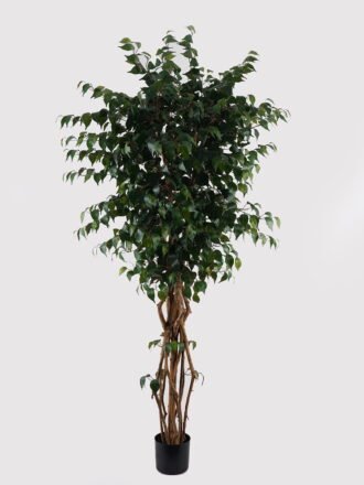 Artificial Tree 150cm  Flower in PP pot GS-30624014 2025Mar 3,000+ sqm showroom with thousands of artificial flowers, plants & trees ready for global sourcing.