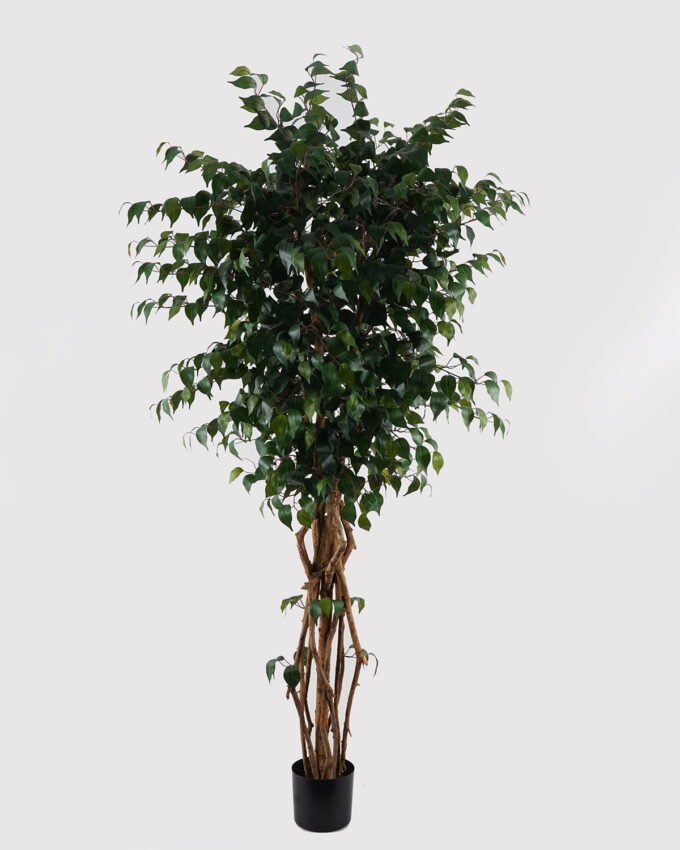 Artificial Tree 180cm  Banyan in PP pot GS-30624013 2025Mar YeahFlower is one of Chinese leading OEM manufacturers and exporters , supplying the silk flowers, wholesale artificial trees