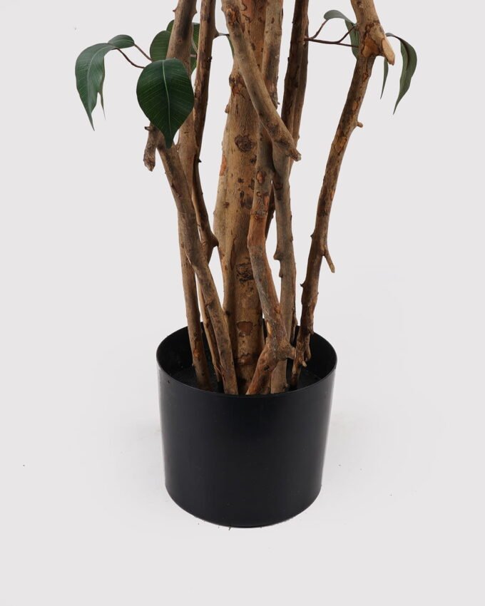 Artificial Tree 180cm  Banyan in PP pot GS-30624013 2025Mar YeahFlower is one of Chinese leading OEM manufacturers and exporters , supplying the silk flowers, wholesale artificial trees
