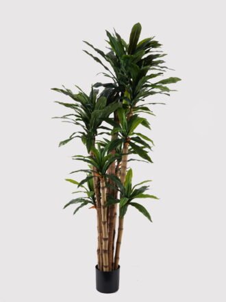 Artificial Tree 180cm  Banyan in PP pot GS-30624010 2025Mar 3,000+ sqm showroom with thousands of artificial flowers, plants & trees ready for global sourcing.