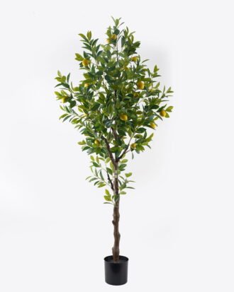 Artificial Tree 210CM lemon tree 22 fruits GS-69424017KD 2025Mar YeahFlower is one of Chinese leading OEM manufacturers and exporters , supplying the silk flowers, wholesale artificial trees Artificial Tree 210CM lemon tree 22 fruits GS-69424017KD 2025Mar YeahFlower is one of Chinese leading OEM manufacturers and exporters , supplying the silk flowers, wholesale artificial trees