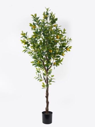 Artificial Tree 210cm Orange tree 22 fruits GS-69424019KD 2025Mar 3,000+ sqm showroom with thousands of artificial flowers, plants & trees ready for global sourcing.