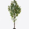 Artificial Tree 210cm Orange tree 22 fruits GS-69424019KD Artificial Tree 210cm Orange tree 22 fruits GS-69424019KD 2025Mar YeahFlower is one of Chinese leading OEM manufacturers and exporters , supplying the silk flowers, wholesale artificial trees