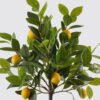 Artificial Tree  90CM Lemon tree in pp pot GS-59521059-R 2025Mar YeahFlower is one of Chinese leading OEM manufacturers and exporters , supplying the silk flowers, wholesale artificial trees