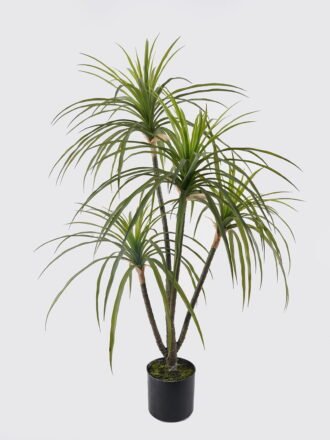 Artificial Tree 50*50*100cm Agave americana *4 in PP pot GS-39024005 2025Mar 3,000+ sqm showroom with thousands of artificial flowers, plants & trees ready for global sourcing.