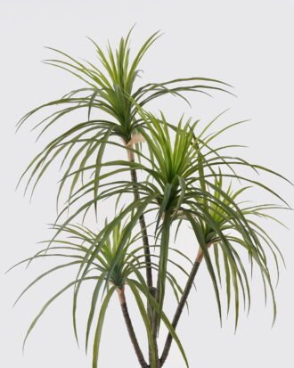 Artificial Tree 50*50*100cm Agave americana *4 in PP pot GS-39024005-G1 2025Mar YeahFlower is one of Chinese leading OEM manufacturers and exporters , supplying the silk flowers, wholesale artificial trees