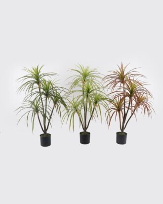 Artificial Tree 50*50*100cm Agave americana *4 in PP pot GS-39024005 2025Mar YeahFlower is one of Chinese leading OEM manufacturers and exporters , supplying the silk flowers, wholesale artificial trees