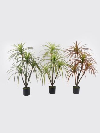 Artificial Tree 50*50*100cm Agave americana *4 in PP pot GS-39024005-G1 2025Mar 3,000+ sqm showroom with thousands of artificial flowers, plants & trees ready for global sourcing.