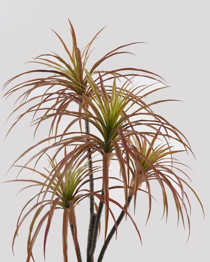 Artificial Tree Agave americana 4 in PP pot GS-39024005_2 Artificial Tree 50*50*100cm Agave americana *4 in PP pot GS-39024005 2025Mar YeahFlower is one of Chinese leading OEM manufacturers and exporters , supplying the silk flowers, wholesale artificial trees