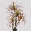 Artificial Tree Agave americana 4 in PP pot GS-39024005_3 Artificial Tree 50*50*100cm Agave americana *4 in PP pot GS-39024005 2025Mar YeahFlower is one of Chinese leading OEM manufacturers and exporters , supplying the silk flowers, wholesale artificial trees