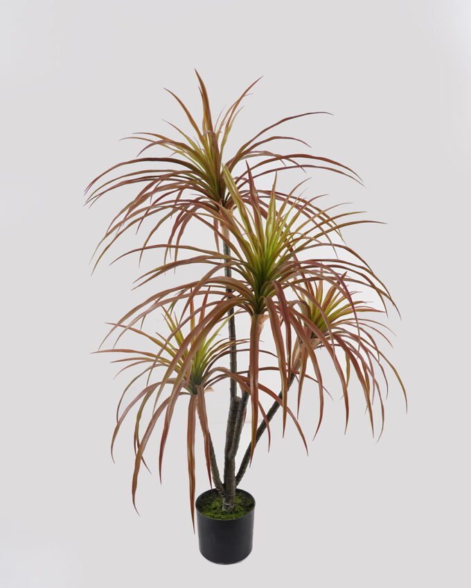 Artificial Tree Agave americana 4 in PP pot GS-39024005_3 Artificial Tree 50*50*100cm Agave americana *4 in PP pot GS-39024005 2025Mar YeahFlower is one of Chinese leading OEM manufacturers and exporters , supplying the silk flowers, wholesale artificial trees
