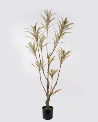 Artificial Tree 70*50*166cm Bamboo *3 in PP pot/130 lvs GS-71024010-G1 2025Mar YeahFlower is one of Chinese leading OEM manufacturers and exporters , supplying the silk flowers, wholesale artificial trees Artificial Tree 70*50*166cm Bamboo *3 in PP pot/130 lvs GS-71024010-G1 2025Mar YeahFlower is one of Chinese leading OEM manufacturers and exporters , supplying the silk flowers, wholesale artificial trees