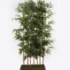 Artificial Tree 55*16*155cm Bamboo in Wood planter/1200 lvs GS-30624002 2025Mar YeahFlower is one of Chinese leading OEM manufacturers and exporters , supplying the silk flowers, wholesale artificial trees