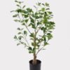 Artificial Tree 35*35*72cm Banyan Tree/174 lvs GS-70224008 2025Mar YeahFlower is one of Chinese leading OEM manufacturers and exporters , supplying the silk flowers, wholesale artificial trees