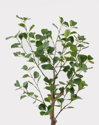 Artificial Tree 35*35*72cm Banyan Tree/174 lvs GS-70224008 2025Mar YeahFlower is one of Chinese leading OEM manufacturers and exporters , supplying the silk flowers, wholesale artificial trees Artificial Tree 35*35*72cm Banyan Tree/174 lvs GS-70224008 2025Mar YeahFlower is one of Chinese leading OEM manufacturers and exporters , supplying the silk flowers, wholesale artificial trees