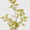 Artificial Tree 45*45*115cm Evergreen Tree in PP pot/280 lvs GS-70224005-G3 2025Mar 3,000+ sqm showroom with thousands of artificial flowers, plants & trees ready for global sourcing.
