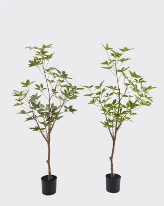 Artificial Tree 45*45*115cm Evergreen Tree in PP pot/280 lvs GS-70224005 2025Mar YeahFlower is one of Chinese leading OEM manufacturers and exporters , supplying the silk flowers, wholesale artificial trees Artificial Tree 45*45*115cm Evergreen Tree in PP pot/280 lvs GS-70224005 2025Mar YeahFlower is one of Chinese leading OEM manufacturers and exporters , supplying the silk flowers, wholesale artificial trees