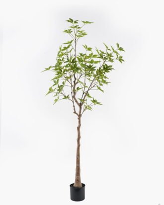 Artificial Tree 50*50*165cm Evergreen Tree in PP pot/500 lvs GS-70224004-G1 2025Mar YeahFlower is one of Chinese leading OEM manufacturers and exporters , supplying the silk flowers, wholesale artificial trees Artificial Tree 50*50*165cm Evergreen Tree in PP pot/500 lvs GS-70224004-G1 2025Mar YeahFlower is one of Chinese leading OEM manufacturers and exporters , supplying the silk flowers, wholesale artificial trees