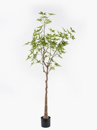 Artificial Tree 50*50*165cm Evergreen Tree in PP pot/500 lvs GS-70224004-G3 2025Mar 3,000+ sqm showroom with thousands of artificial flowers, plants & trees ready for global sourcing.