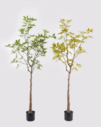 Artificial Tree 50*50*165cm Evergreen Tree in PP pot/500 lvs GS-70224004-G3 2025Mar YeahFlower is one of Chinese leading OEM manufacturers and exporters , supplying the silk flowers, wholesale artificial trees Artificial Tree 50*50*165cm Evergreen Tree in PP pot/500 lvs GS-70224004-G3 2025Mar YeahFlower is one of Chinese leading OEM manufacturers and exporters , supplying the silk flowers, wholesale artificial trees