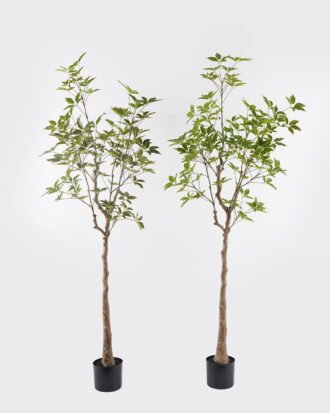 Artificial Tree 50*50*165cm Evergreen Tree in PP pot/500 lvs GS-70224004 2025Mar YeahFlower is one of Chinese leading OEM manufacturers and exporters , supplying the silk flowers, wholesale artificial trees Artificial Tree 50*50*165cm Evergreen Tree in PP pot/500 lvs GS-70224004 2025Mar YeahFlower is one of Chinese leading OEM manufacturers and exporters , supplying the silk flowers, wholesale artificial trees